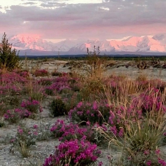 Meet your Posher, Chele - Picture 5 of 5